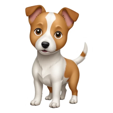 a full body white jack russel looking dog the size of a kelpie with light brown ears and a light brown patch on one eye and a large snout sticker
