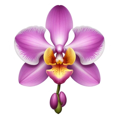 Orchidée sticker