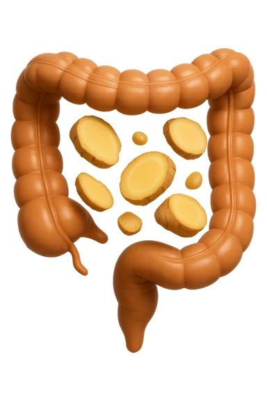 emoji stile iphone 3d di piccoli pezzi di zenzero che fluttuano in aria con pezzi di colon arrotolati intorno, iperrealistico 4k sticker