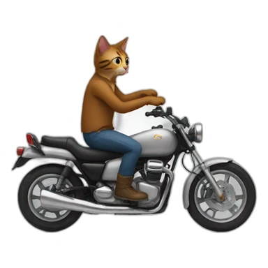man rides cat sticker