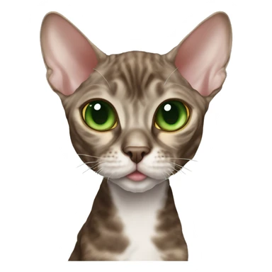 full-length dark brown tabby devon rex green eyes  sticker