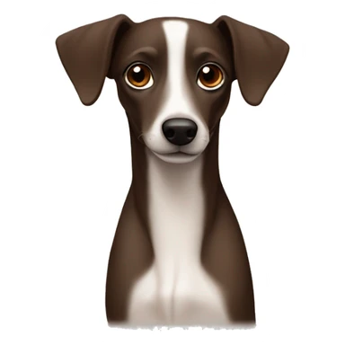 Dark brown Formosa mountain dog and Italian greyhound mix, dark brown eyes, ears up sticker