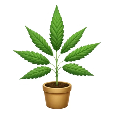 cannabis sticker