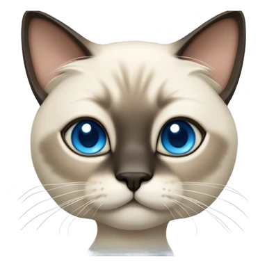 Fluffy siamese cat sticker