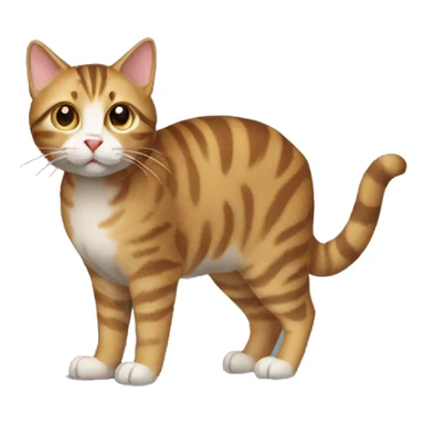 Tabby Cat Full Body sticker