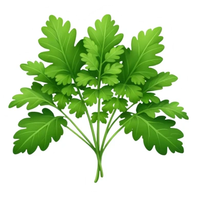 Cilantro sticker
