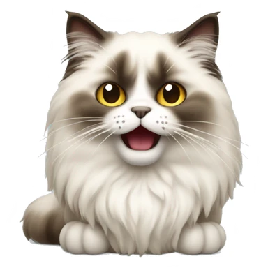hissing fluffy ragdoll cat sticker