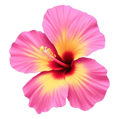 yellow and pink hibiscus flower sticker