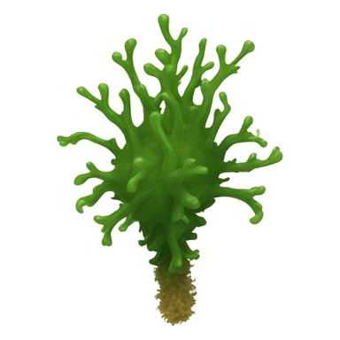 Sea moss on leg sticker