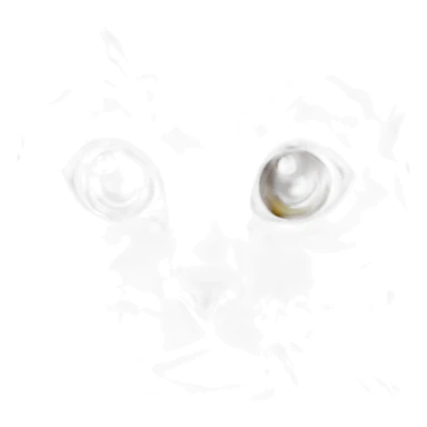 Cat is falling in love sticker