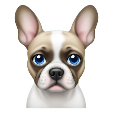 White frenchie left eyes blue right eye blue sticker