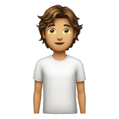 Adolescent homme de 15 ans métisse avec des cheveux bruns mi long mi court  sticker