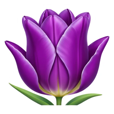 Purple tulip sticker