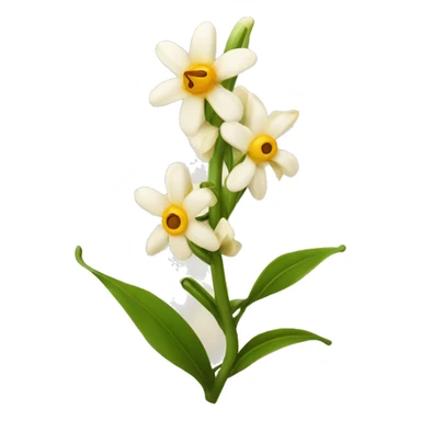 vanilla beans with flower sticker