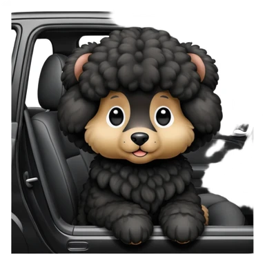 Pudel in a car sticker