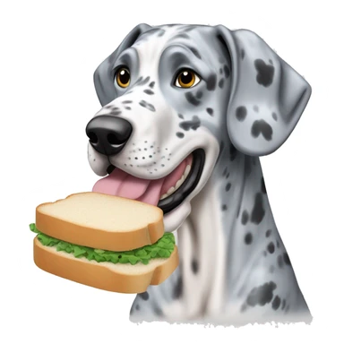 Blue Merle Great Dane eating white bread sticker