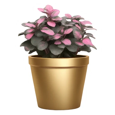Hippo Hypoestes pink in round gold planter sticker