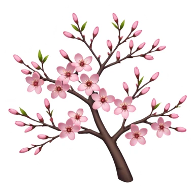 Realistic cherry blossom flowers, on a tree, high definition, realistic branches  sticker