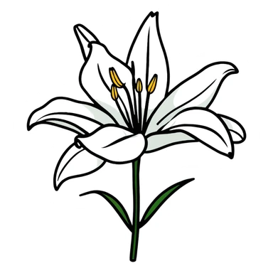 pure white lily flower in bloom sticker