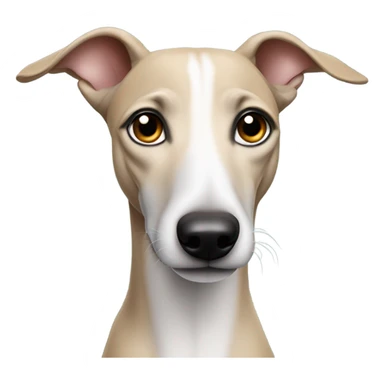 whippet with big wars sticker