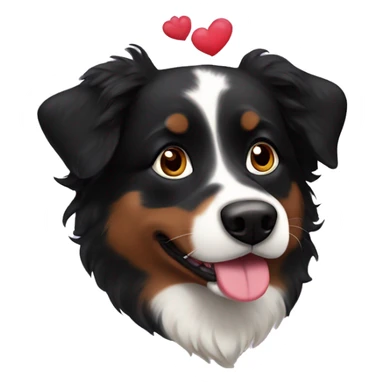 Small black australian shepherd dog with huge maroon heart sticker