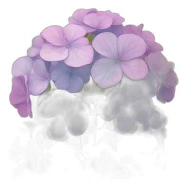 hortensia sticker