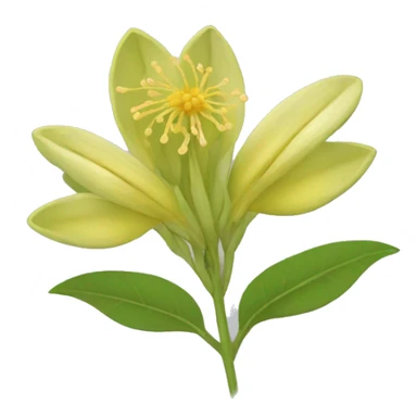Ashwagandha flower with greenish-yellow petals and a central yellow stamens emojis sticker
