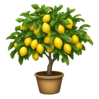Lemon tree sticker