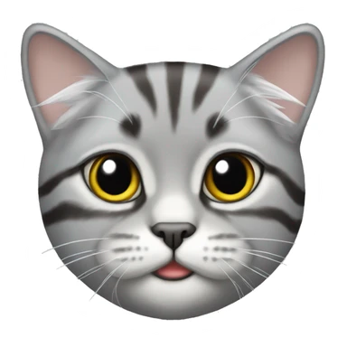silver tabby persan cat sticker