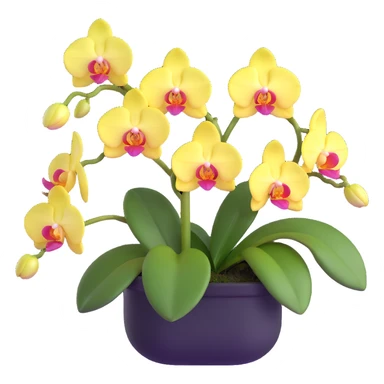 Realistic phalaenopsis orchid with delicate blooms and prominent large green leaves clearly visible sticker