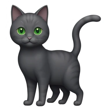 full body gorgeous solid dark grey cat with green eyes, white paws and white whiskers playing sticker