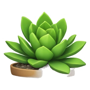 Succulent  sticker