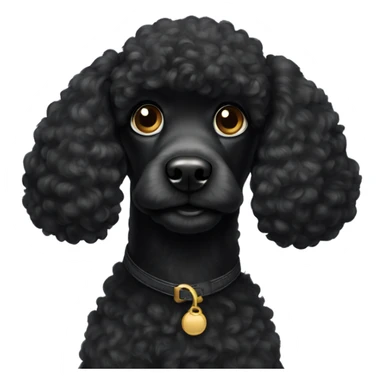A black poodle with big eyes sticker