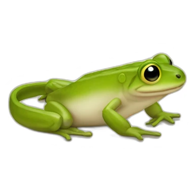 Amphibi sticker