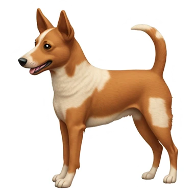 Red heeler with curly tail sticker
