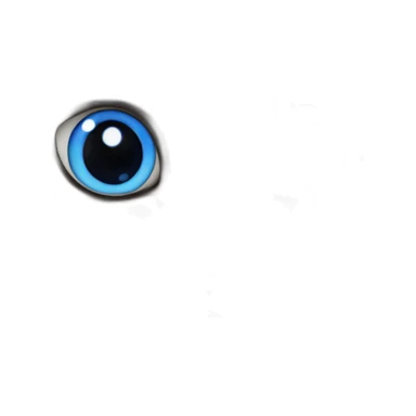 blue eyed ragdoll cat sticker