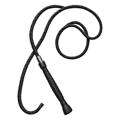 Black leather whip  sticker