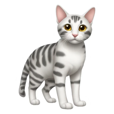 котик с бантиком sticker