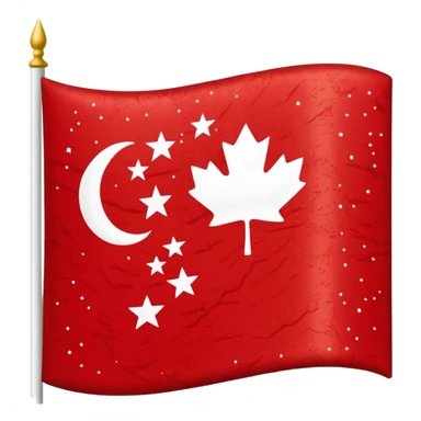 Chinar flag it has 80,000 stars sticker