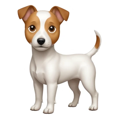 a full body white jack russel looking dog the size of a kelpie with light brown ears and a light brown patch on one eye and a large snout sticker