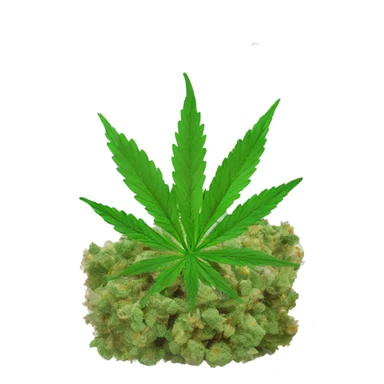 transparent ziplock bag with sativa strain inside sticker