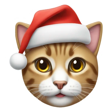 Katze mit WEihnachtsmütze sticker