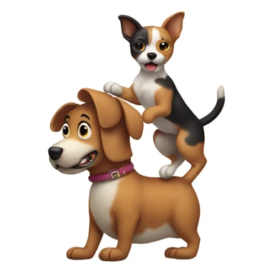 Dog riding cat sticker