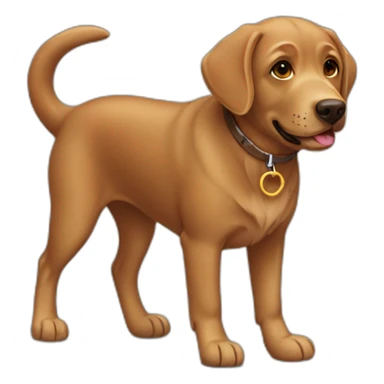 Walk of a brown Labrador dog sticker