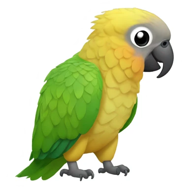 Pineapple green cheek conure eating a nut sticker