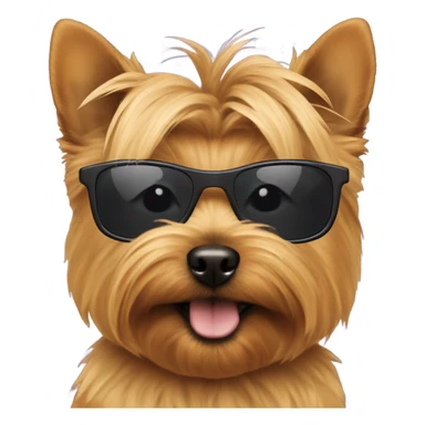 Norwich terrier wearing sunglasses sticker