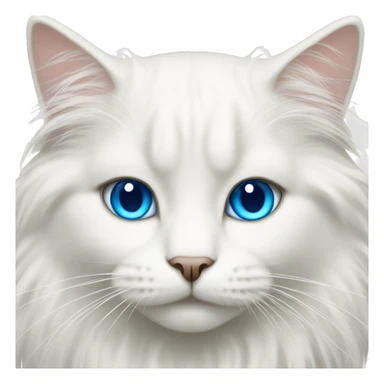White long haired cat with blue eyes sticker