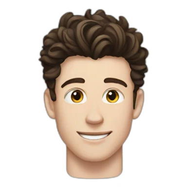 Shawn mendes sticker