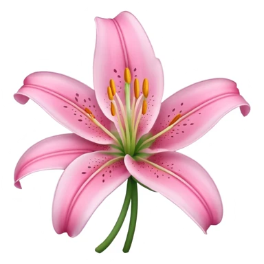 lily flower pink sticker