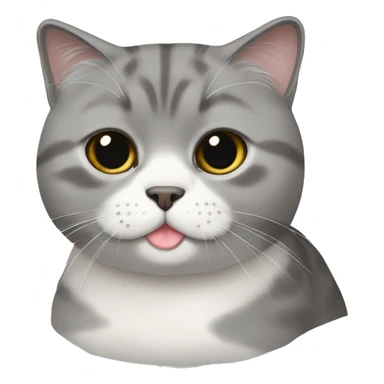 grey scottish fold cat sticker